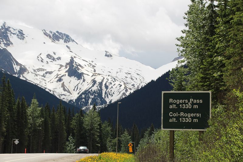 RogersPass Transcanada