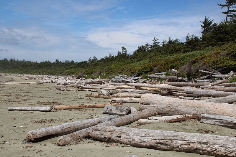 Long Beach Vancouver Island